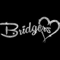 GLT6 SILVER GLITTER Thumbnail