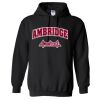 18500 Adult Heavy Blend Hooded Sweatshirt Thumbnail